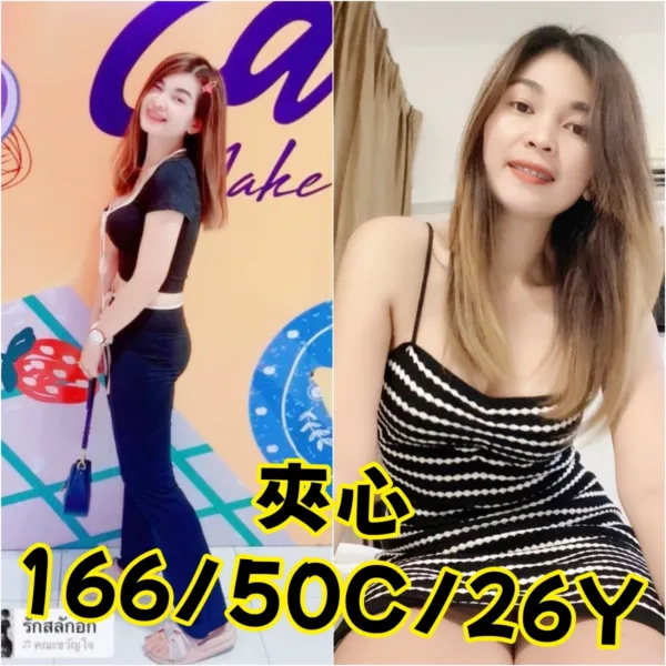 台北定點茶-夾心 台北定點茶-夾心