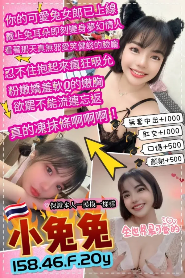 台北定點茶-小兔兔 台北定點茶-小兔兔