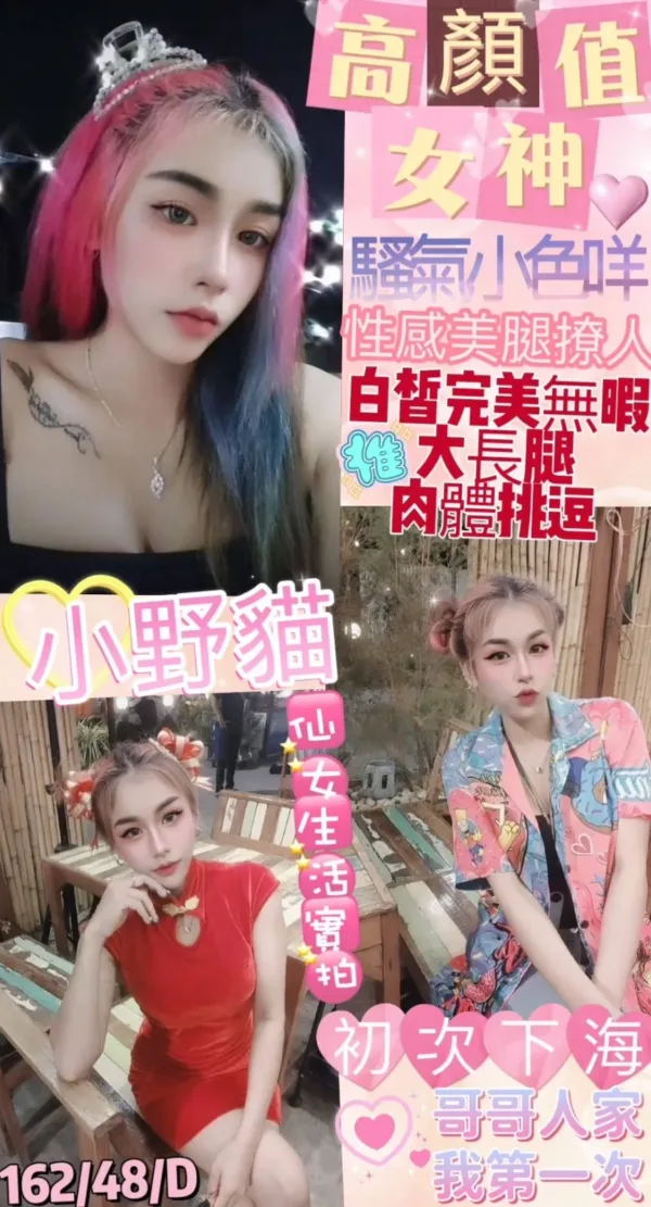 台北定點茶-小野貓 台北定點茶-小野貓