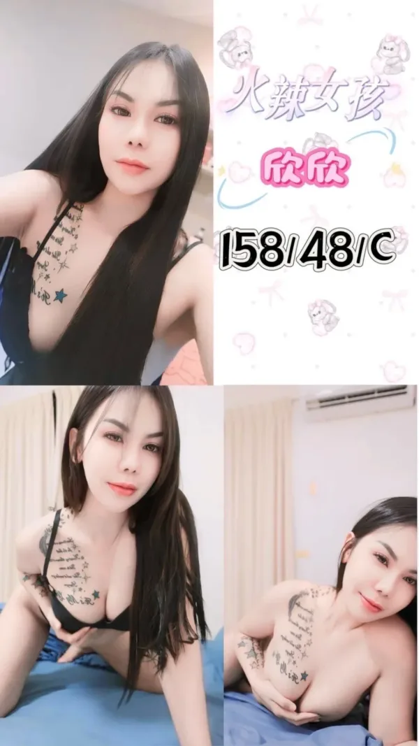 屏東定點茶-欣欣 屏東定點茶-欣欣